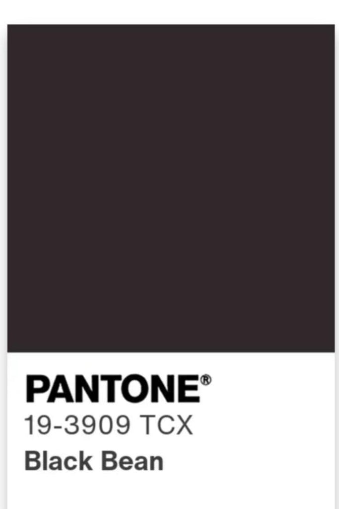 Bamboo French Terry Pant Black Bean